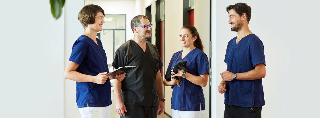 Teaserbild Tierärztliches Zentrum Lautersack GmbH