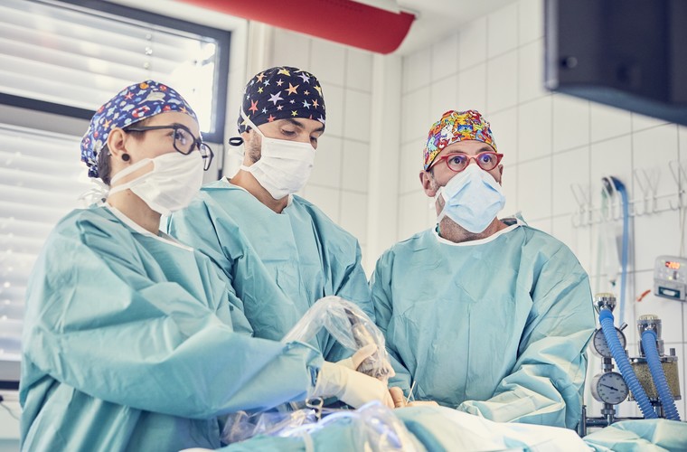 Tierärztliches Zentrum Lautersack GmbH - unsere Vision